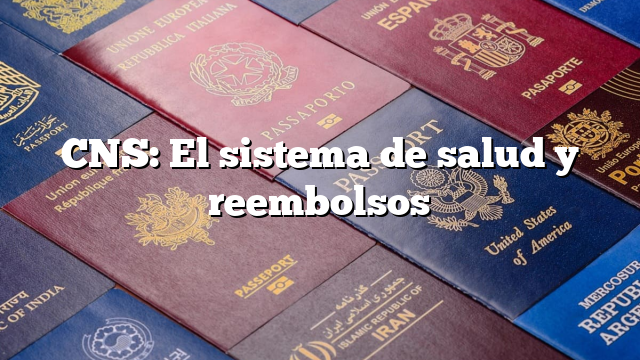 CNS: El sistema de salud y reembolsos