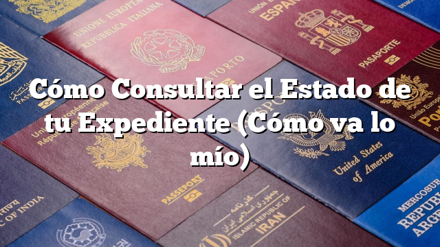 Cómo Consultar el Estado de tu Expediente (Cómo va lo mío)