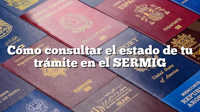 Cómo consultar el estado de tu trámite en el SERMIG