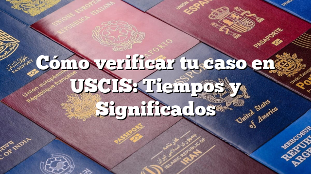 Cómo verificar tu caso en USCIS: Tiempos y Significados