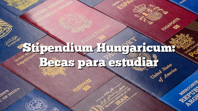 Stipendium Hungaricum: Becas para estudiar