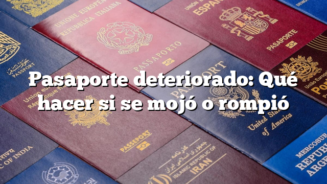 Pasaporte deteriorado: Qué hacer si se mojó o rompió
