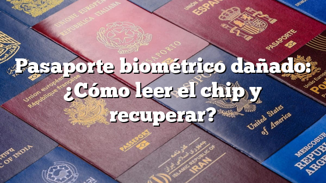 Pasaporte biométrico dañado: ¿Cómo leer el chip y recuperar?