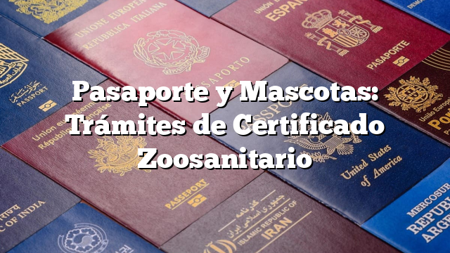 Pasaporte y Mascotas: Trámites de Certificado Zoosanitario